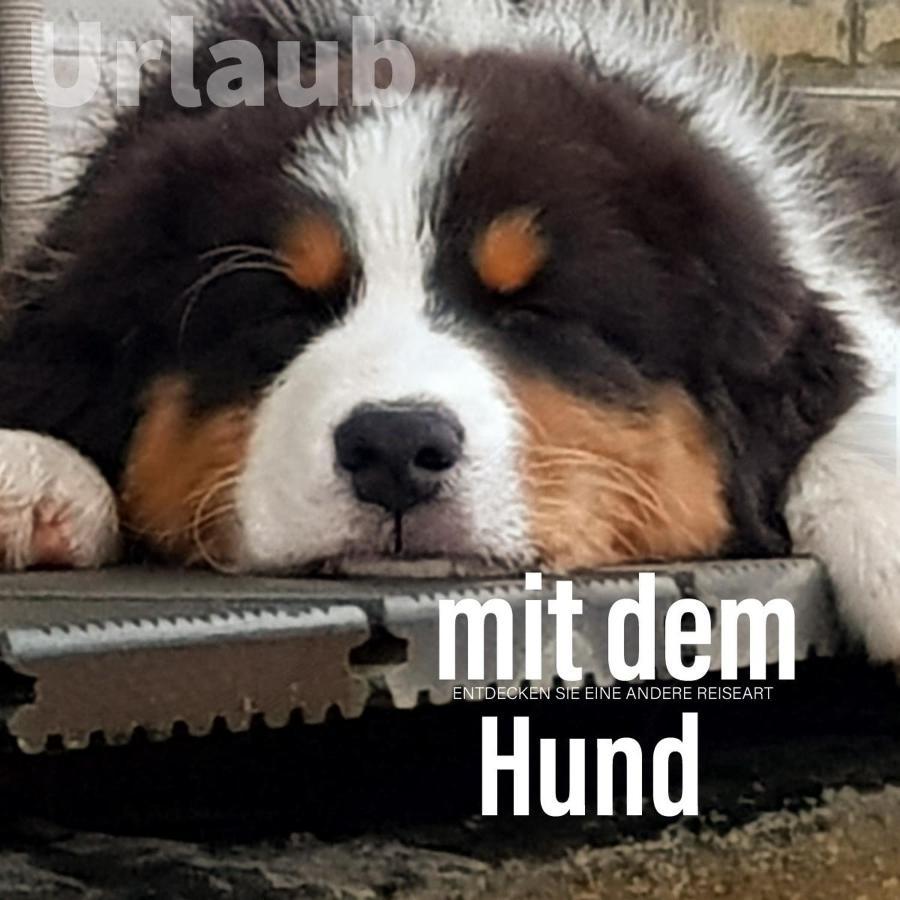 Der Seehof Heimbach Exteriör bild